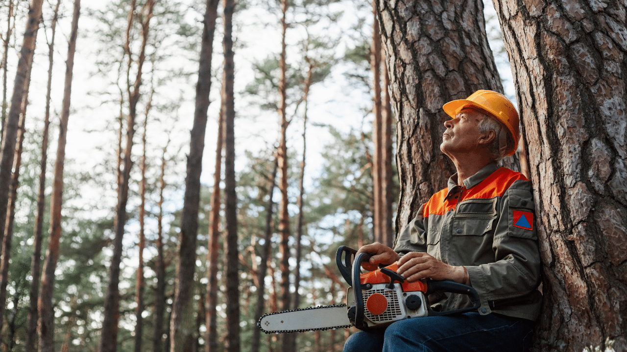 Texas arborist